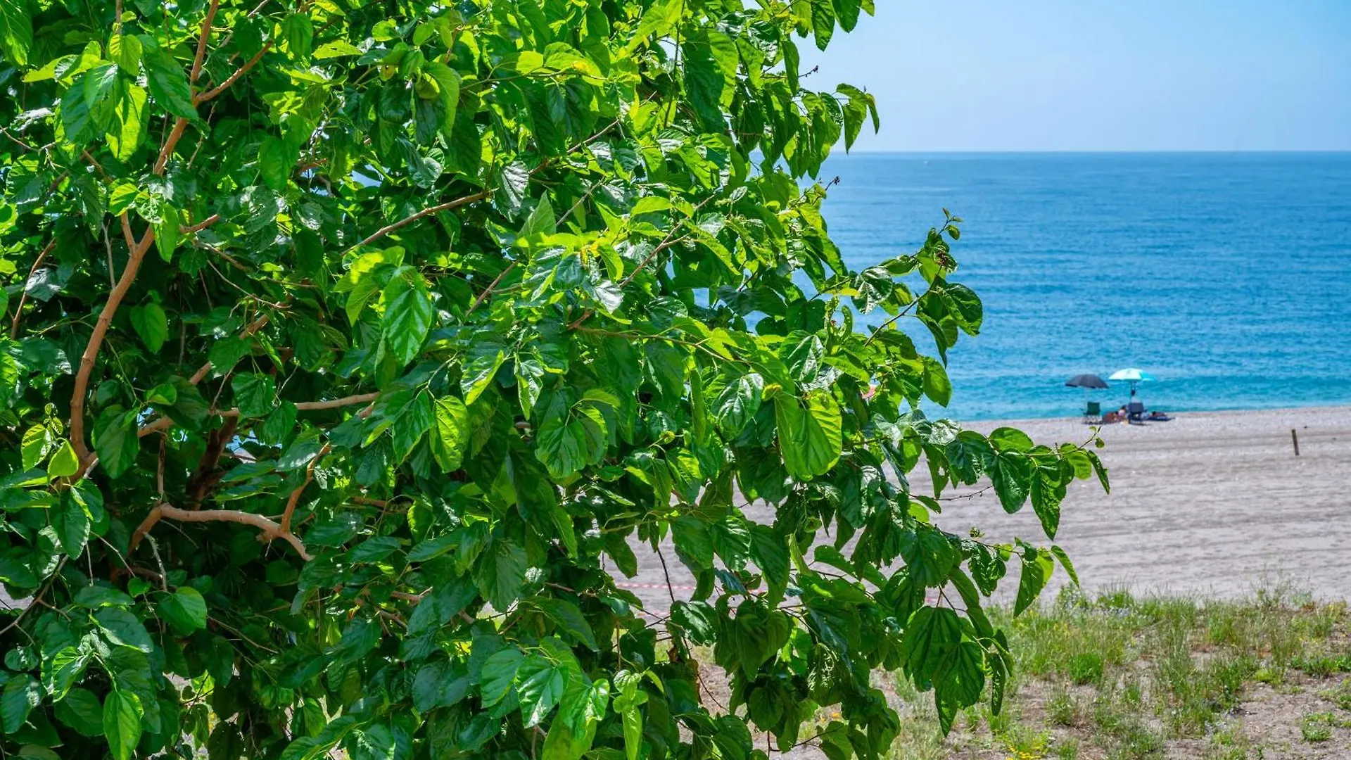 Seaside Apartment Just Steps From The Beach Mascali 0*,  Italia